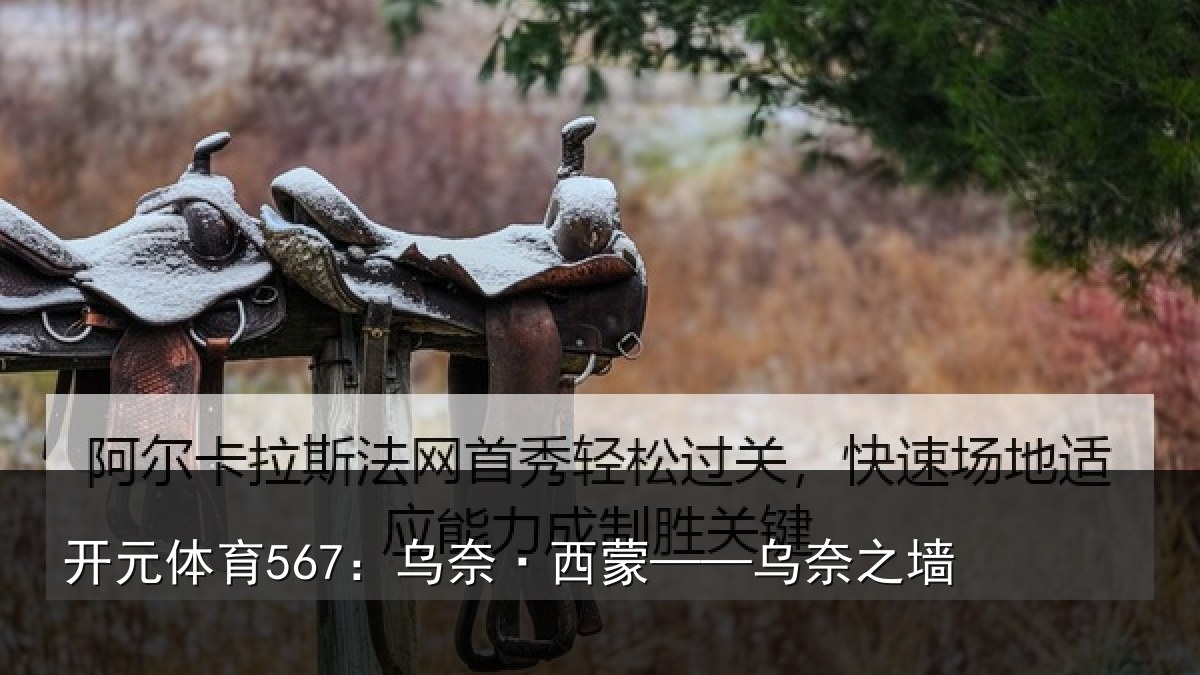 开元体育567:乌奈·西蒙——乌奈之墙