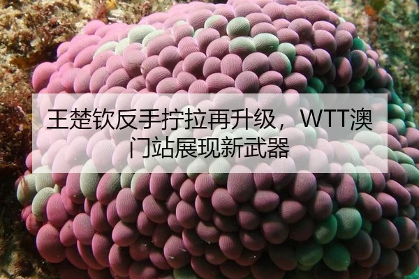 王楚钦反手拧拉再升级，WTT澳门站展现新武器